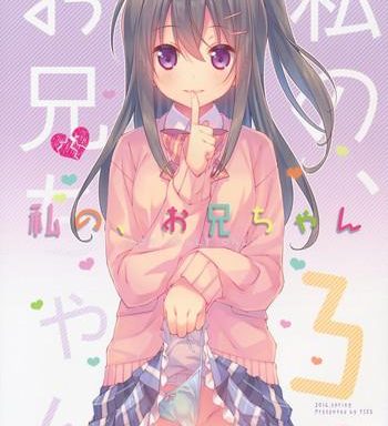 watashi no onii chan 3 cover