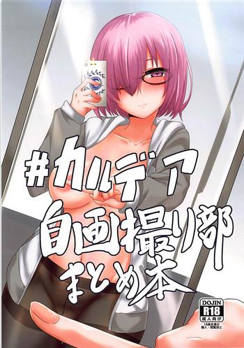 chaldea jigadoribu matome hon cover