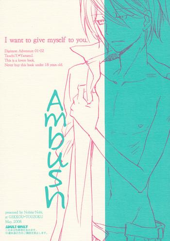 ambush cover