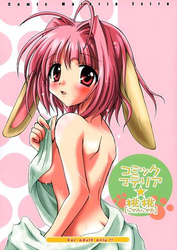 c65 a w p comic materia extra nyannyan ukagaka cover