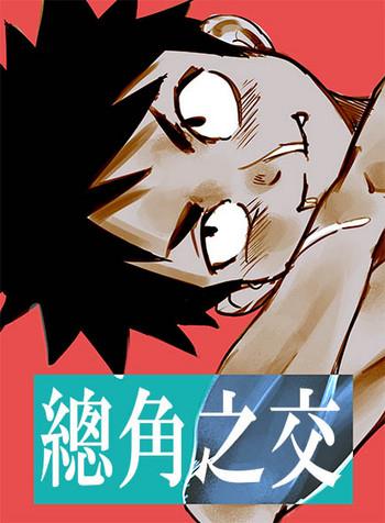 cover 13