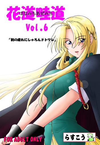 hanamichi azemichi vol 6 cover