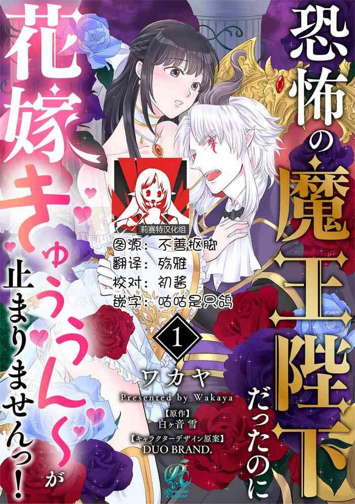 wakaya shiro ke on yuki duobrand ky fu no ma heikadattanoni hanayomeki yu u un ga tomarimasen tsu 1 3 chinese cover