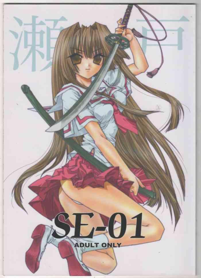 se 01 cover