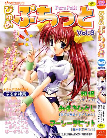 pure petit vol 3 cover