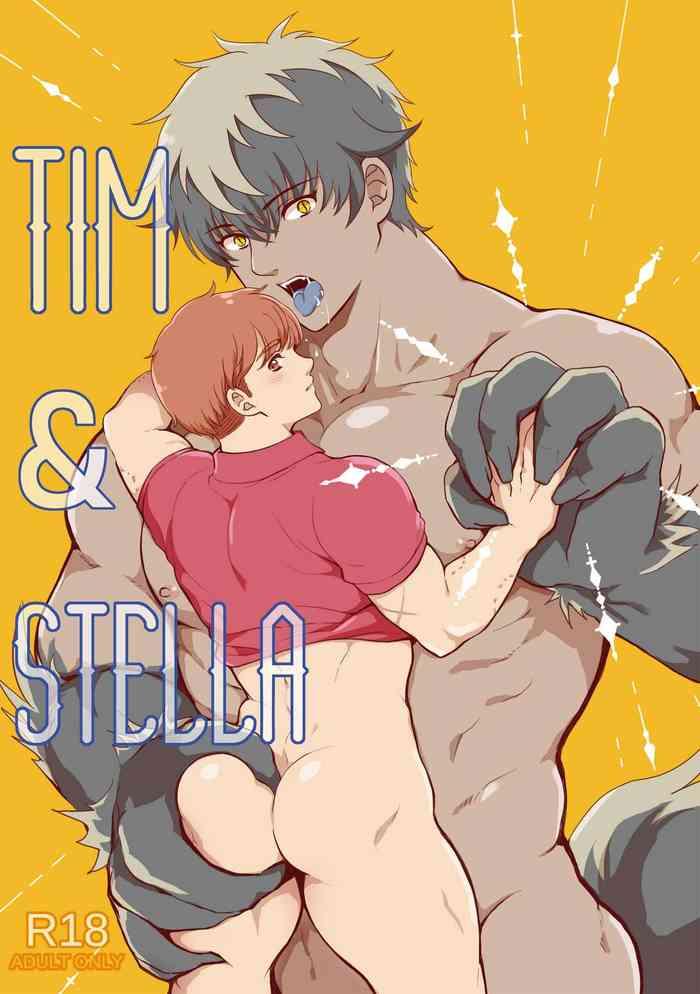 tim stella cover